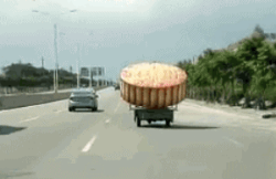 【唐樂(lè)宮】百因必有果，你愛(ài)吃的月餅就是我！(圖1)